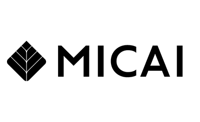 MICAI Limited